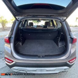 
										Hyundai Santa Fe full									